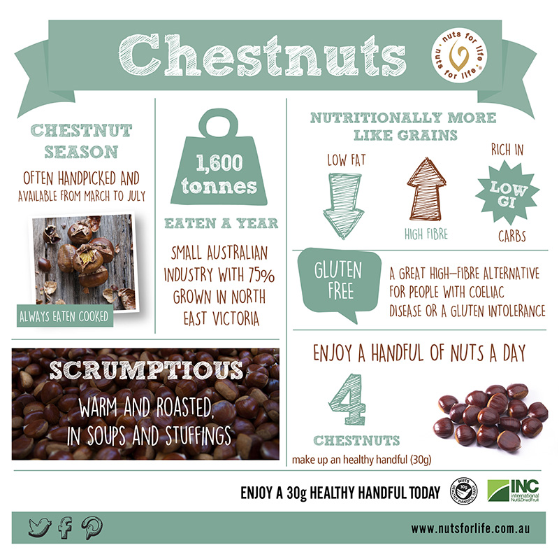 Nut infographics Nuts for Life