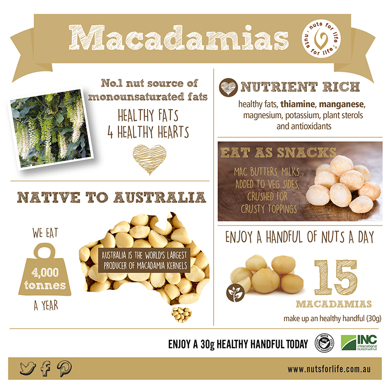 Nut infographics Nuts for Life