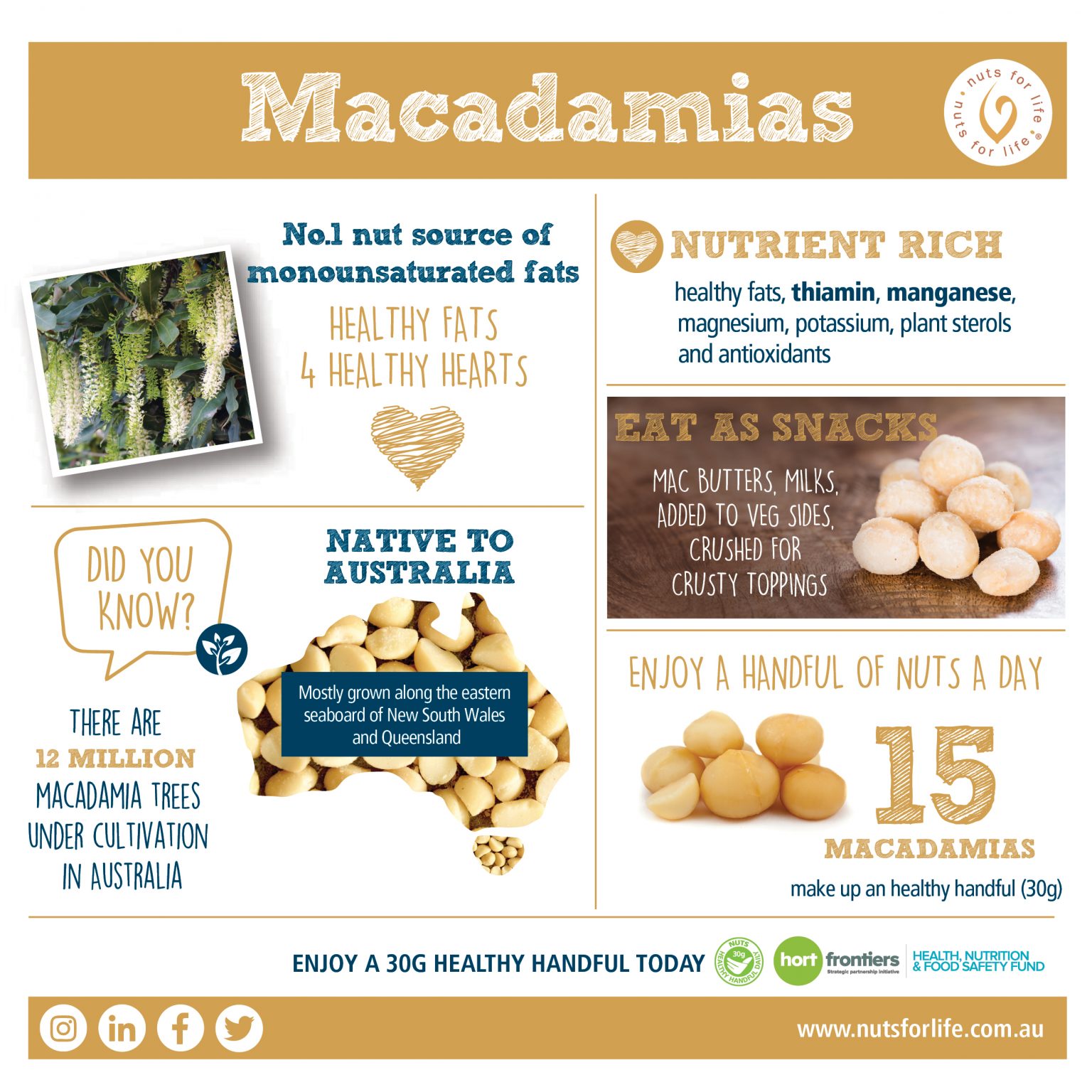 Macadamias Nuts for Life Australian Nuts for Nutrition & Health